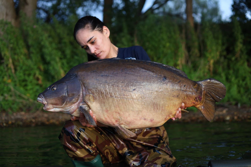 Tracy Khan - Big fish